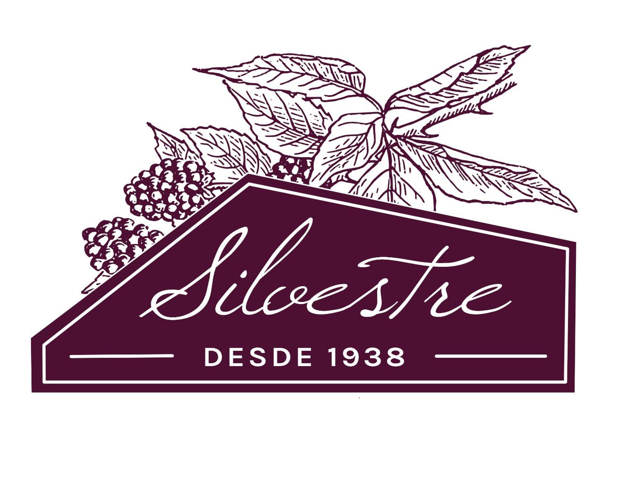 Alojamento Funchal - Silvestre House Dış mekan fotoğraf