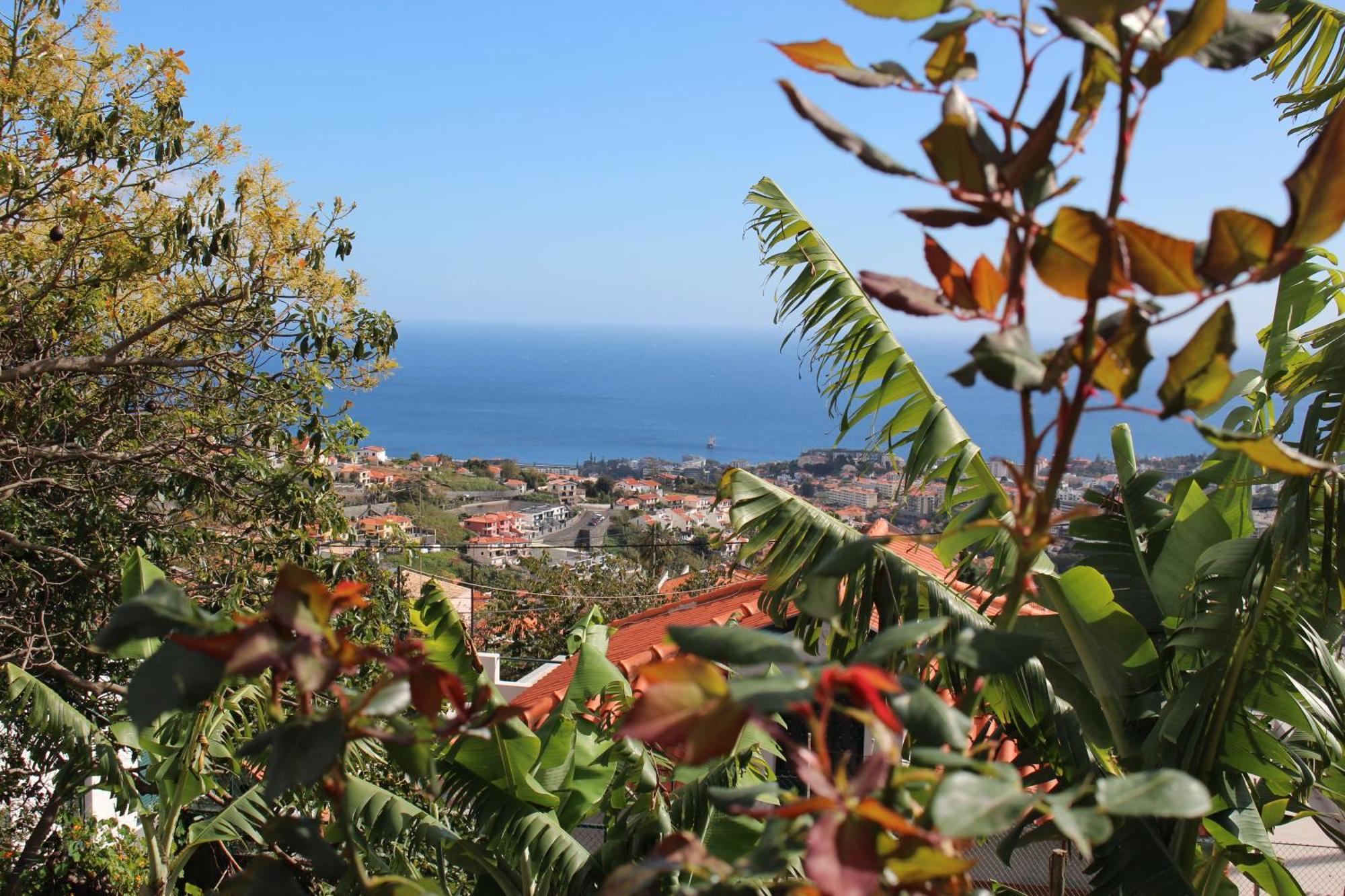 Alojamento Funchal - Silvestre House Dış mekan fotoğraf